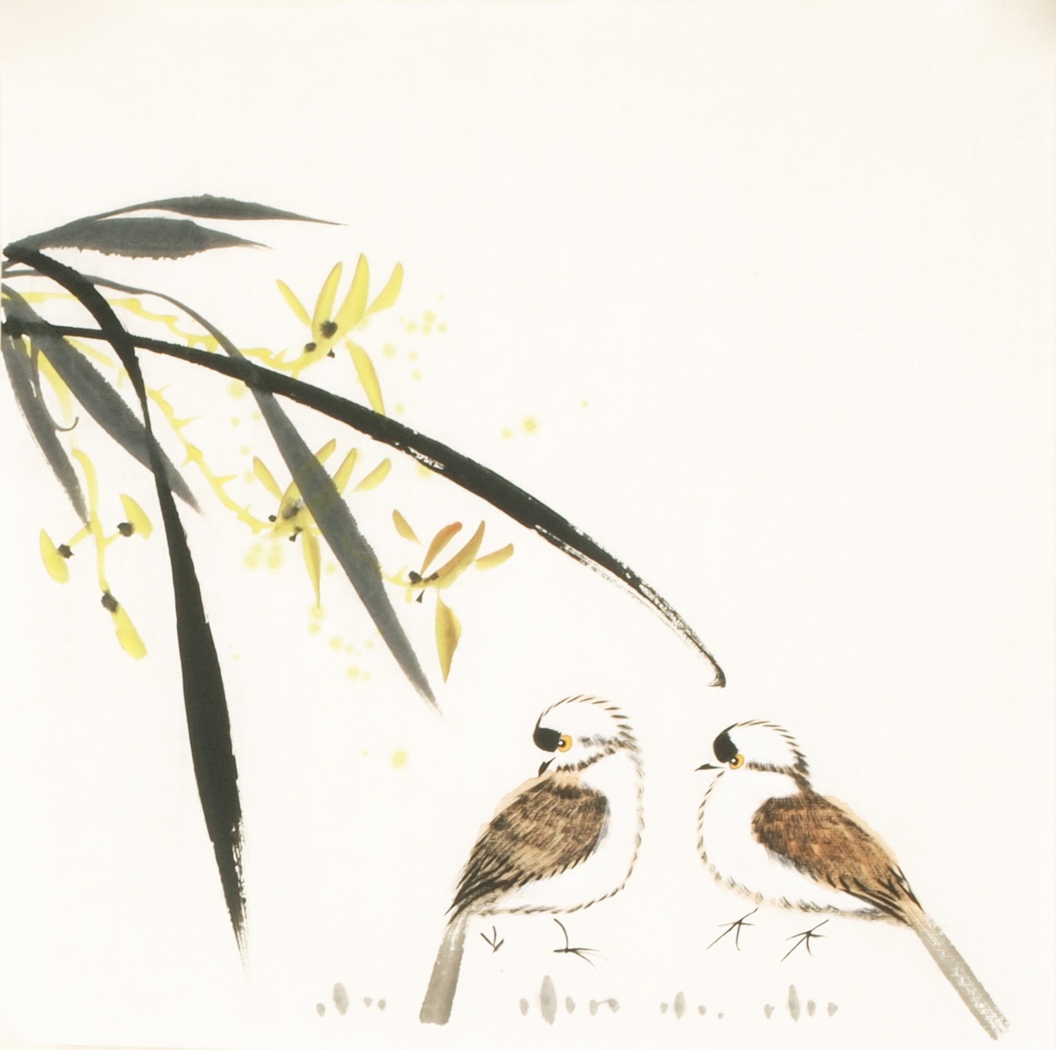 Other Birds - CNAG006741