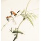 Other Birds - CNAG006742