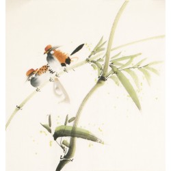Other Birds - CNAG006742