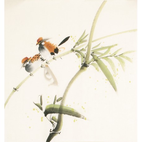 Other Birds - CNAG006742