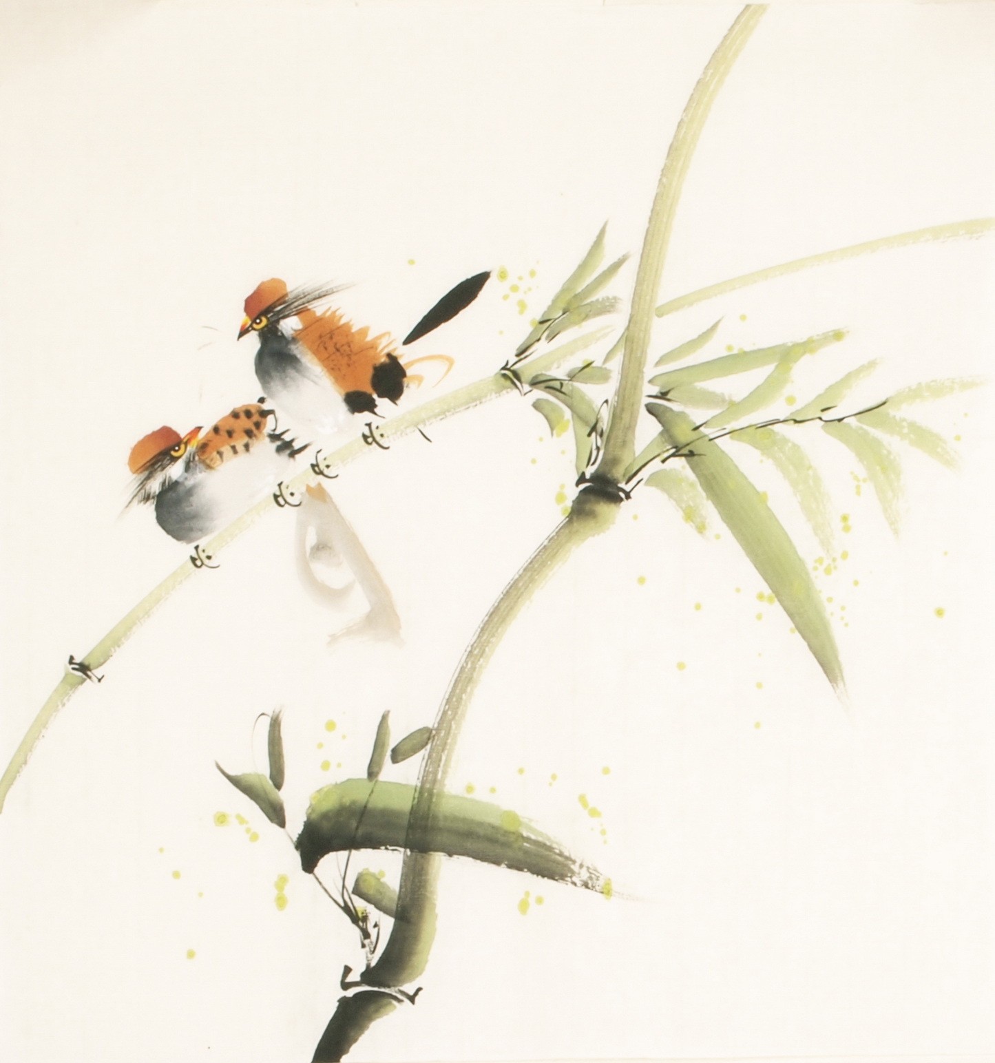 Other Birds - CNAG006742