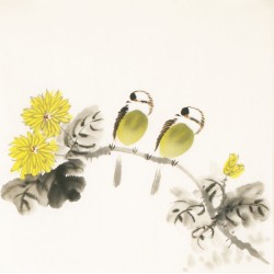 Other Birds - CNAG006744