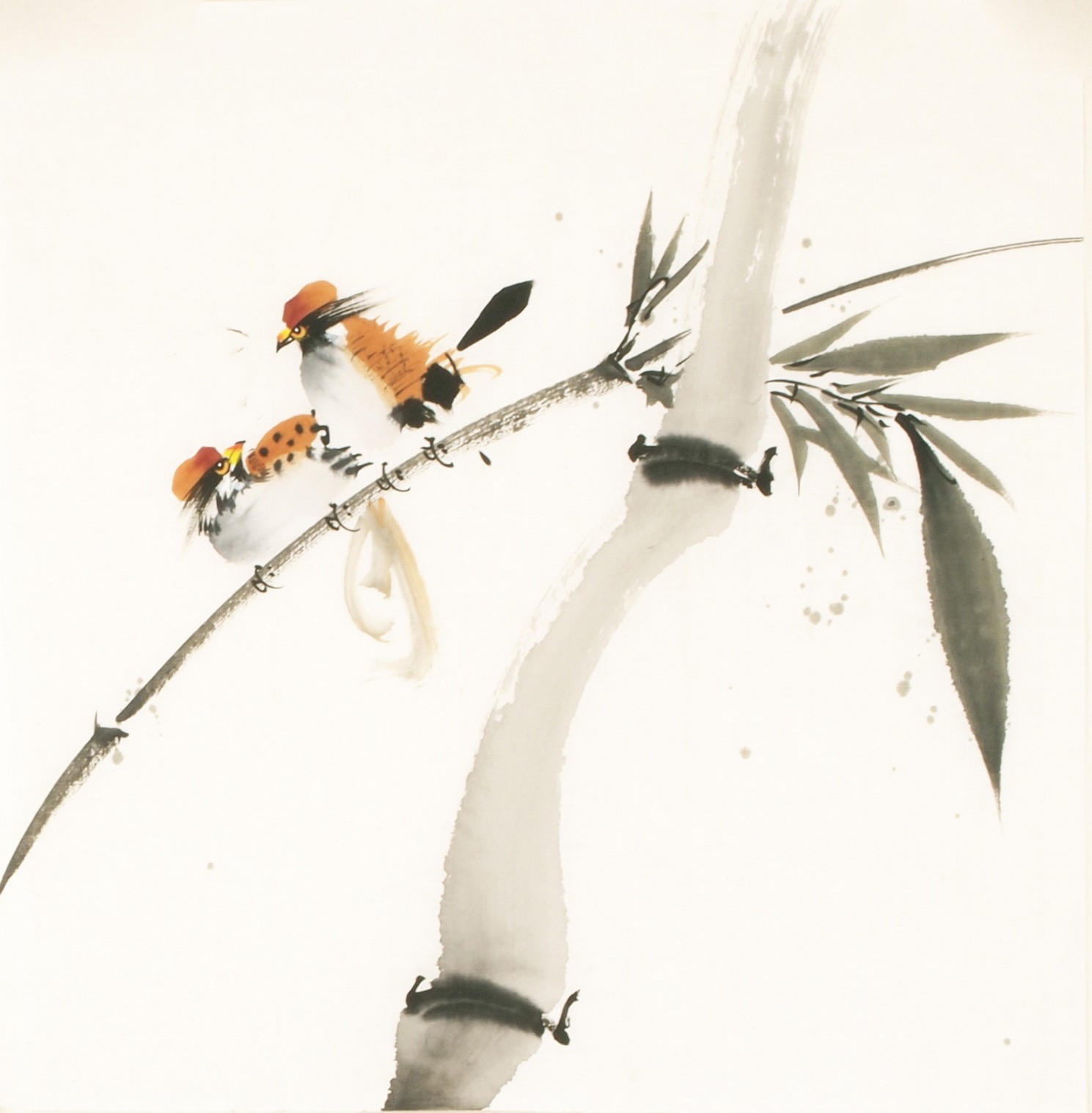 Other Birds - CNAG006745
