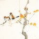 Other Birds - CNAG006747