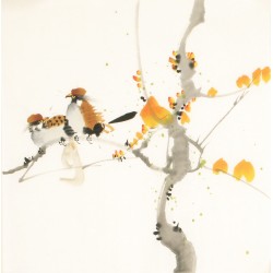 Other Birds - CNAG006747