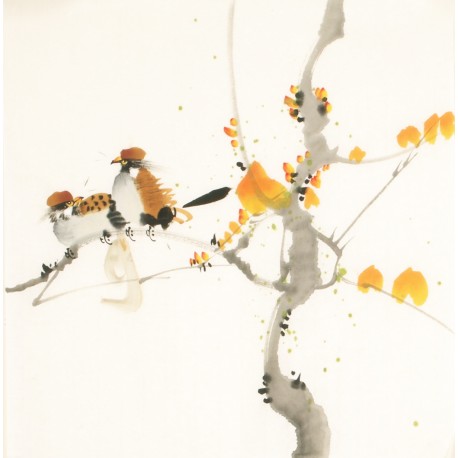 Other Birds - CNAG006747