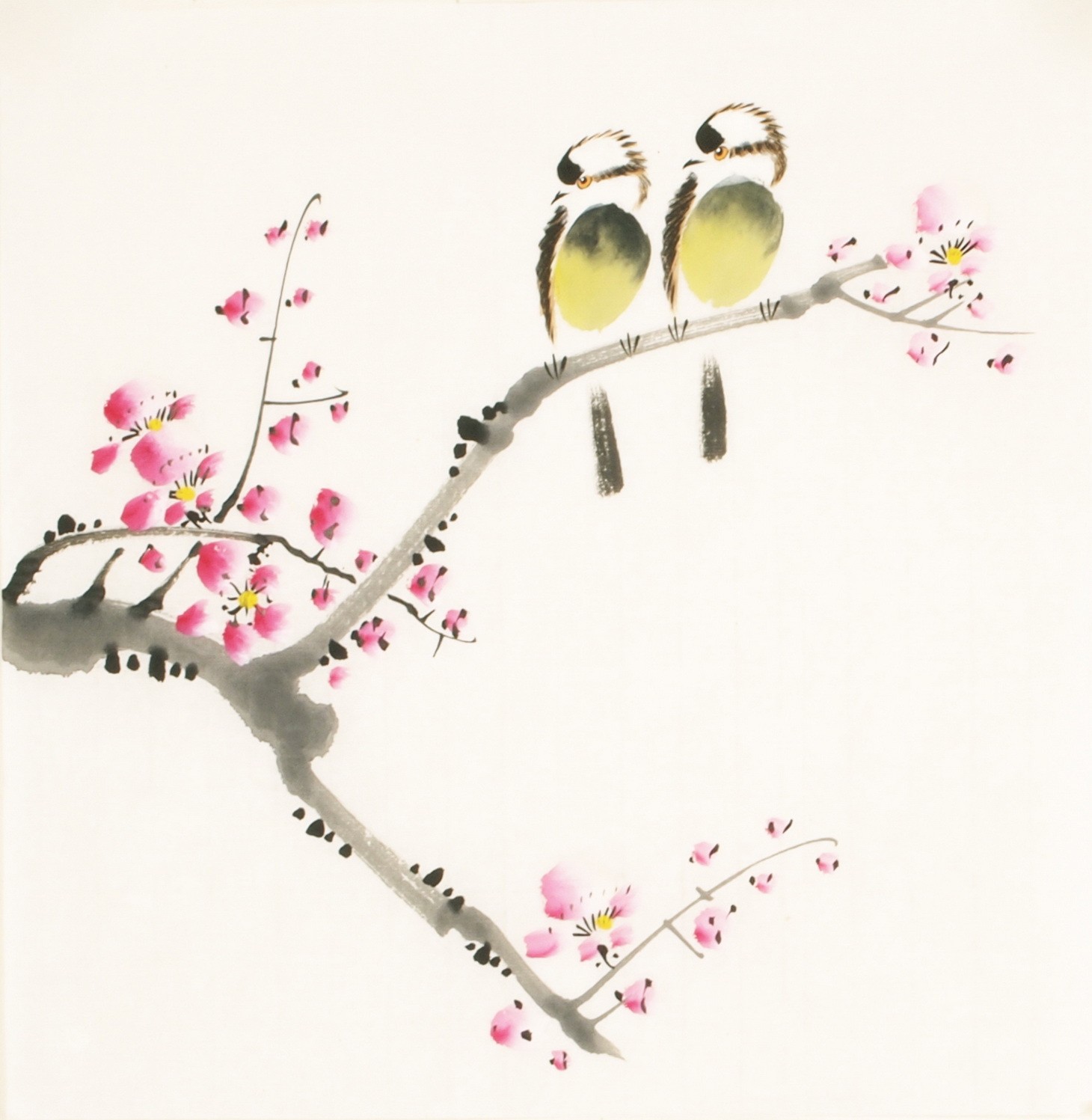 Other Birds - CNAG006748