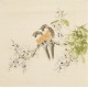 Other Birds - CNAG006750