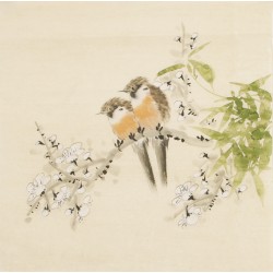 Other Birds - CNAG006750