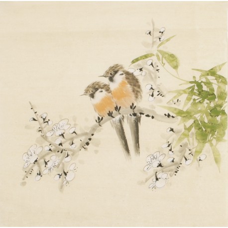 Other Birds - CNAG006750