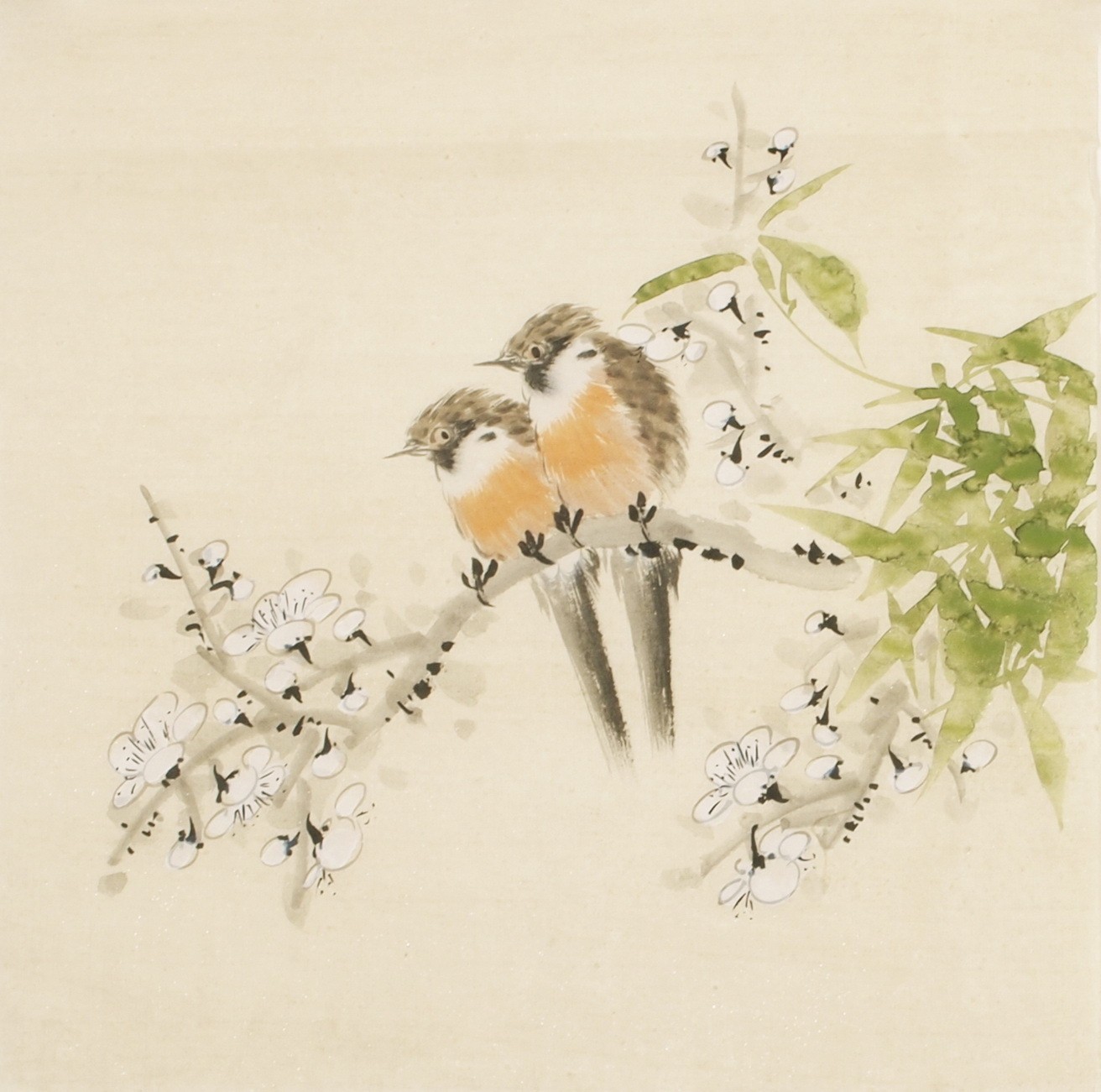 Other Birds - CNAG006750