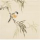 Other Birds - CNAG006751