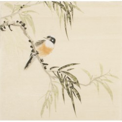Other Birds - CNAG006751