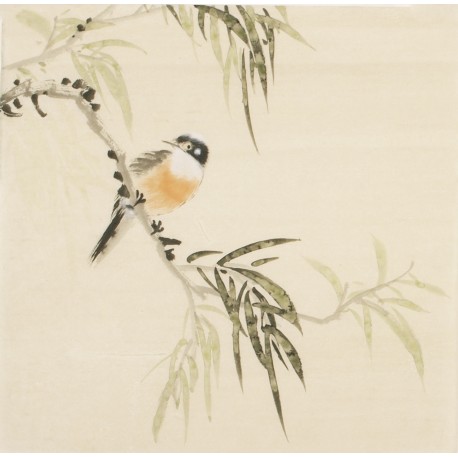 Other Birds - CNAG006751