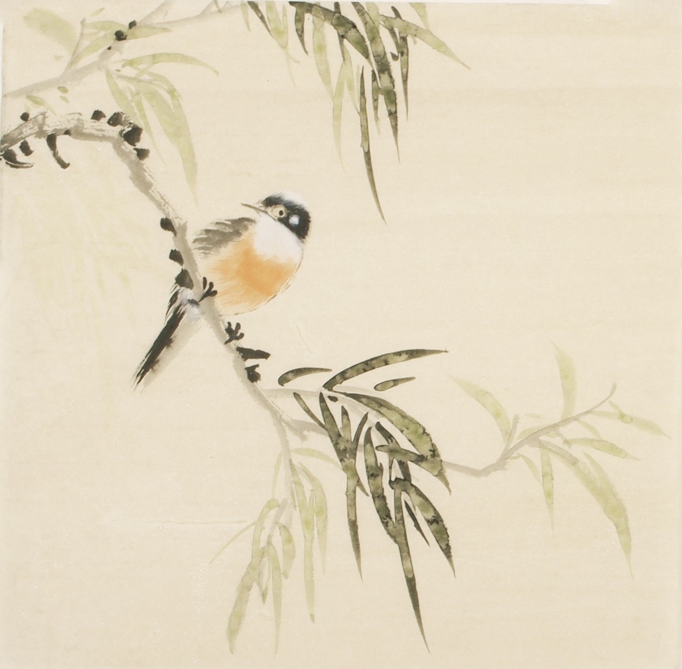 Other Birds - CNAG006751