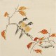 Other Birds - CNAG006752