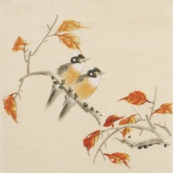 Other Birds - CNAG006752
