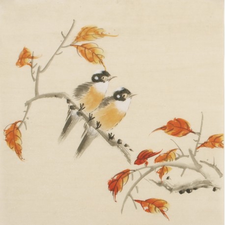 Other Birds - CNAG006752