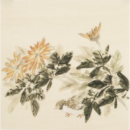 Other Birds - CNAG006753