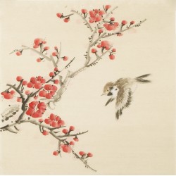 Other Birds - CNAG006754