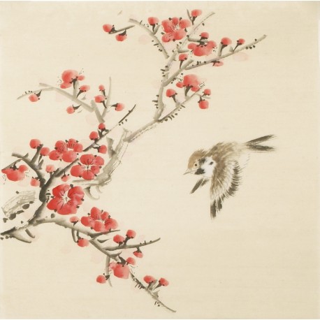 Other Birds - CNAG006754