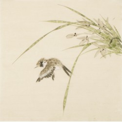 Other Birds - CNAG006757