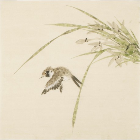 Other Birds - CNAG006757