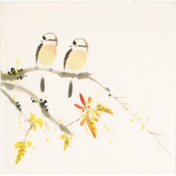 Other Birds - CNAG006761