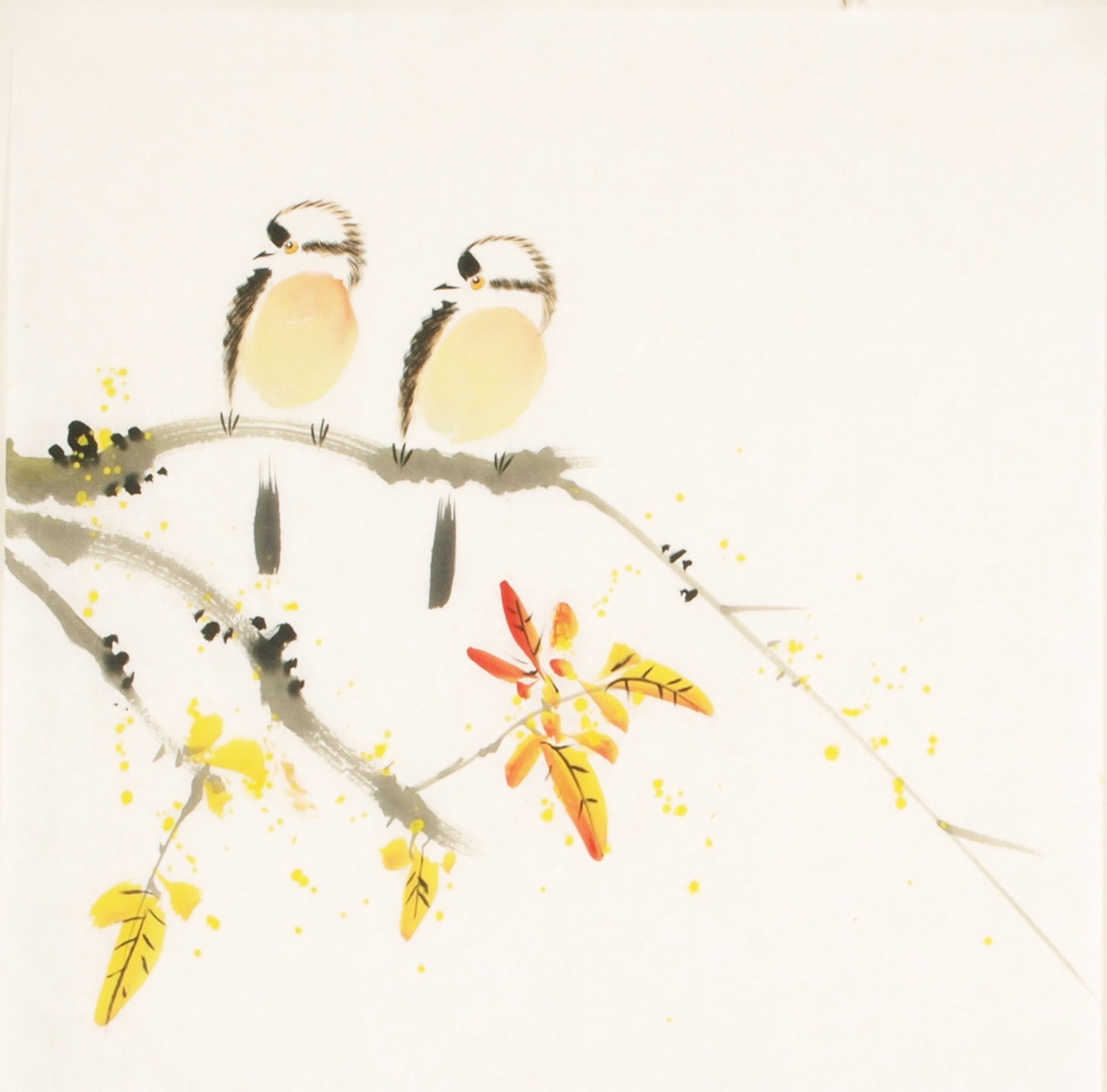 Other Birds - CNAG006761
