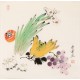 Other Birds - CNAG006762