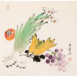 Other Birds - CNAG006762