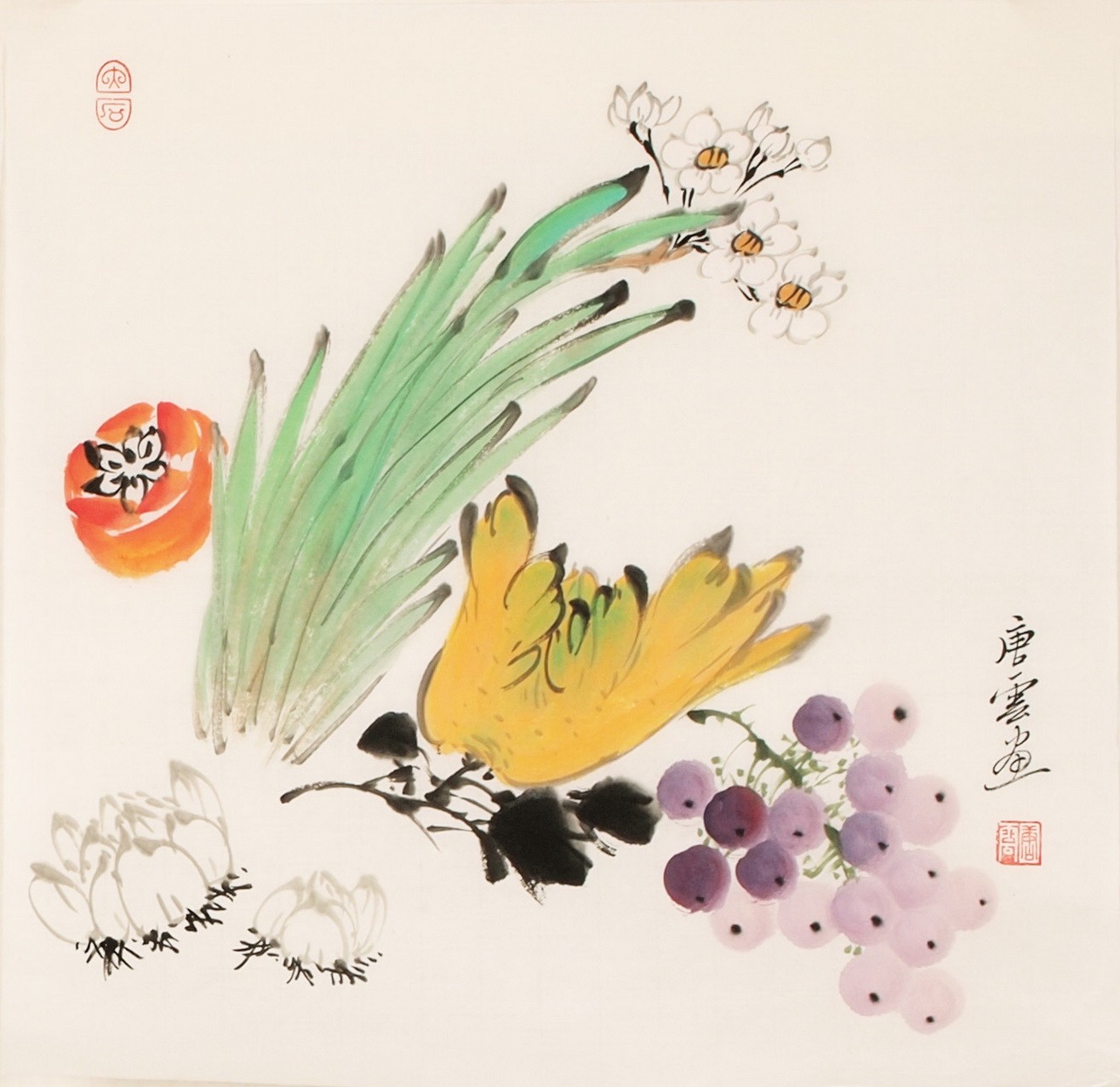 Other Birds - CNAG006762