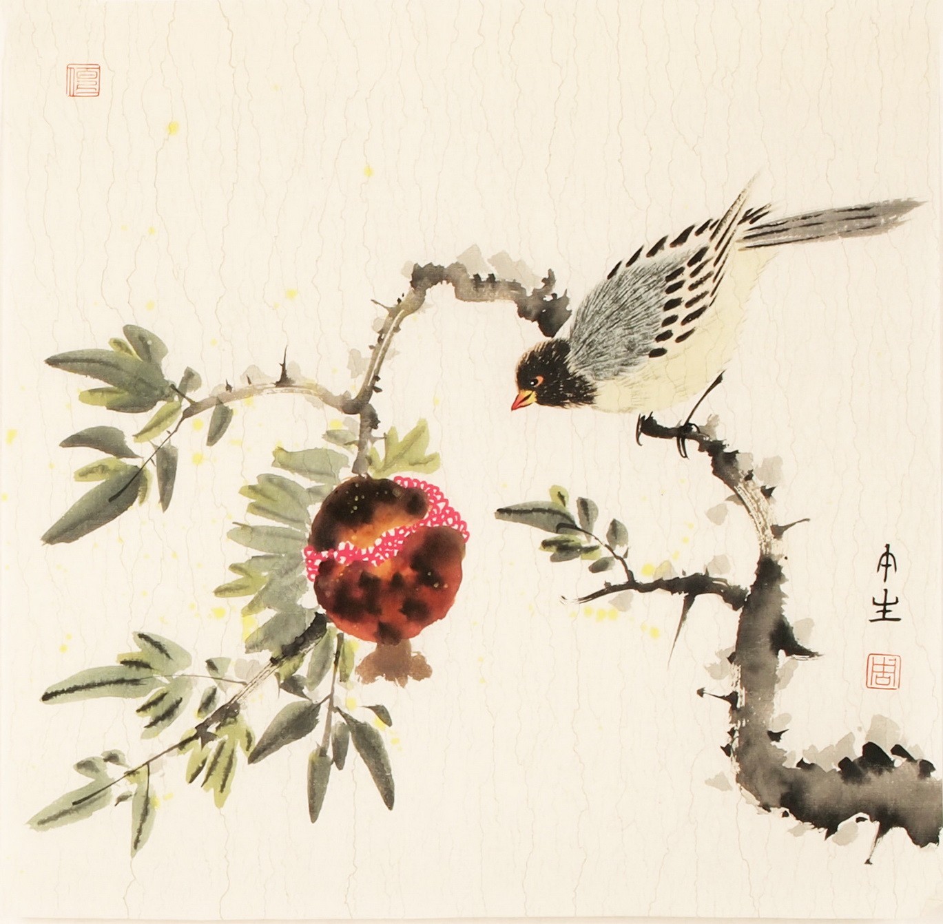 Other Birds - CNAG006765