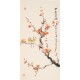 Plum - CNAG000677