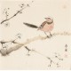 Other Birds - CNAG006768