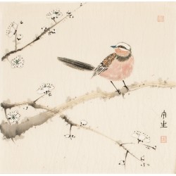Other Birds - CNAG006768
