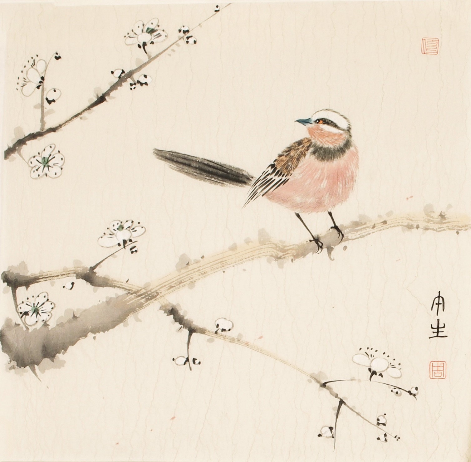Other Birds - CNAG006768