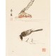 Other Birds - CNAG006769