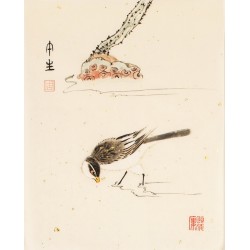 Other Birds - CNAG006769