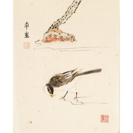 Other Birds - CNAG006769