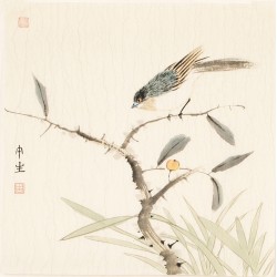 Other Birds - CNAG006770