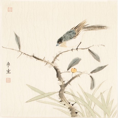 Other Birds - CNAG006770