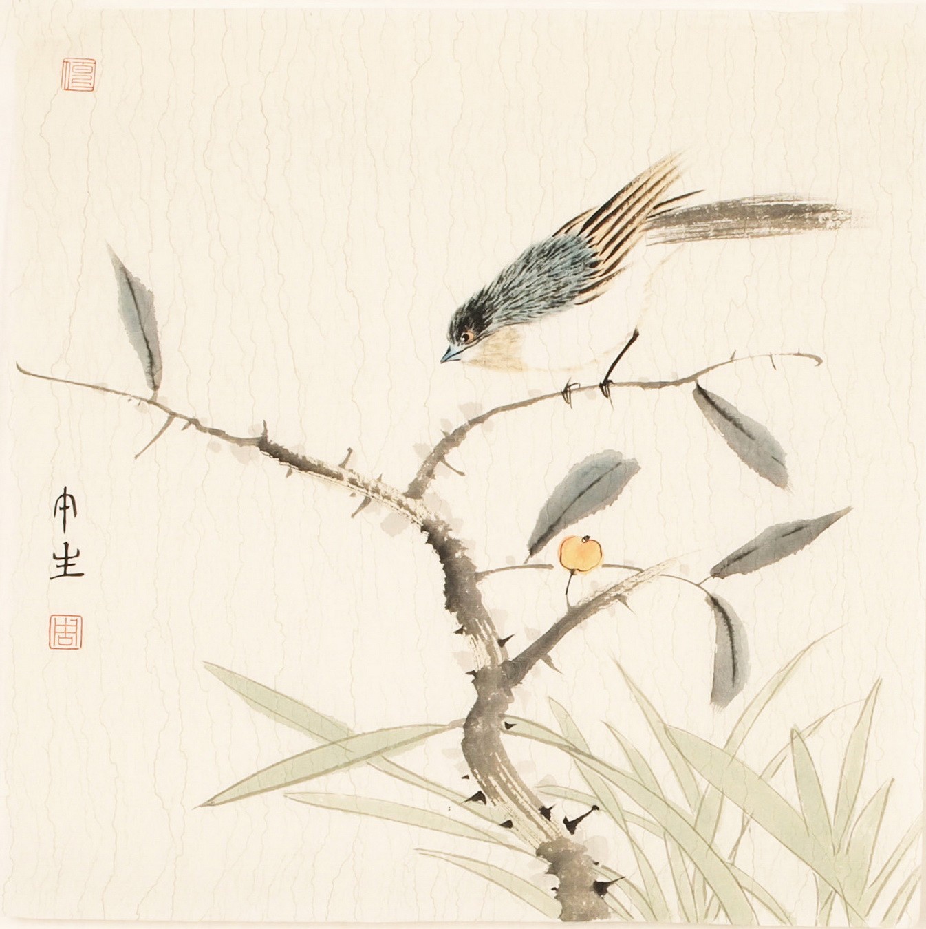 Other Birds - CNAG006770
