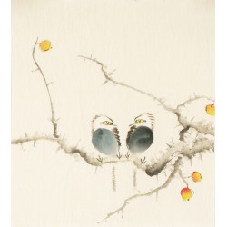 Other Birds - CNAG006773