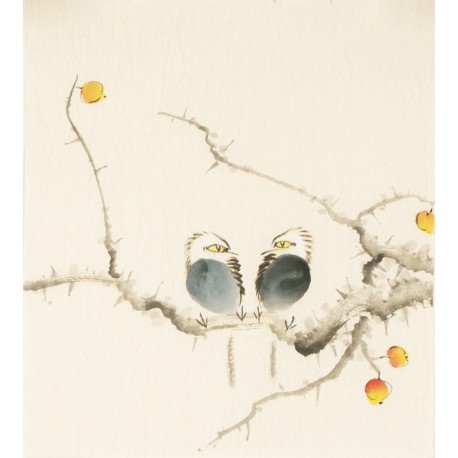 Other Birds - CNAG006773
