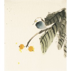 Other Birds - CNAG006774