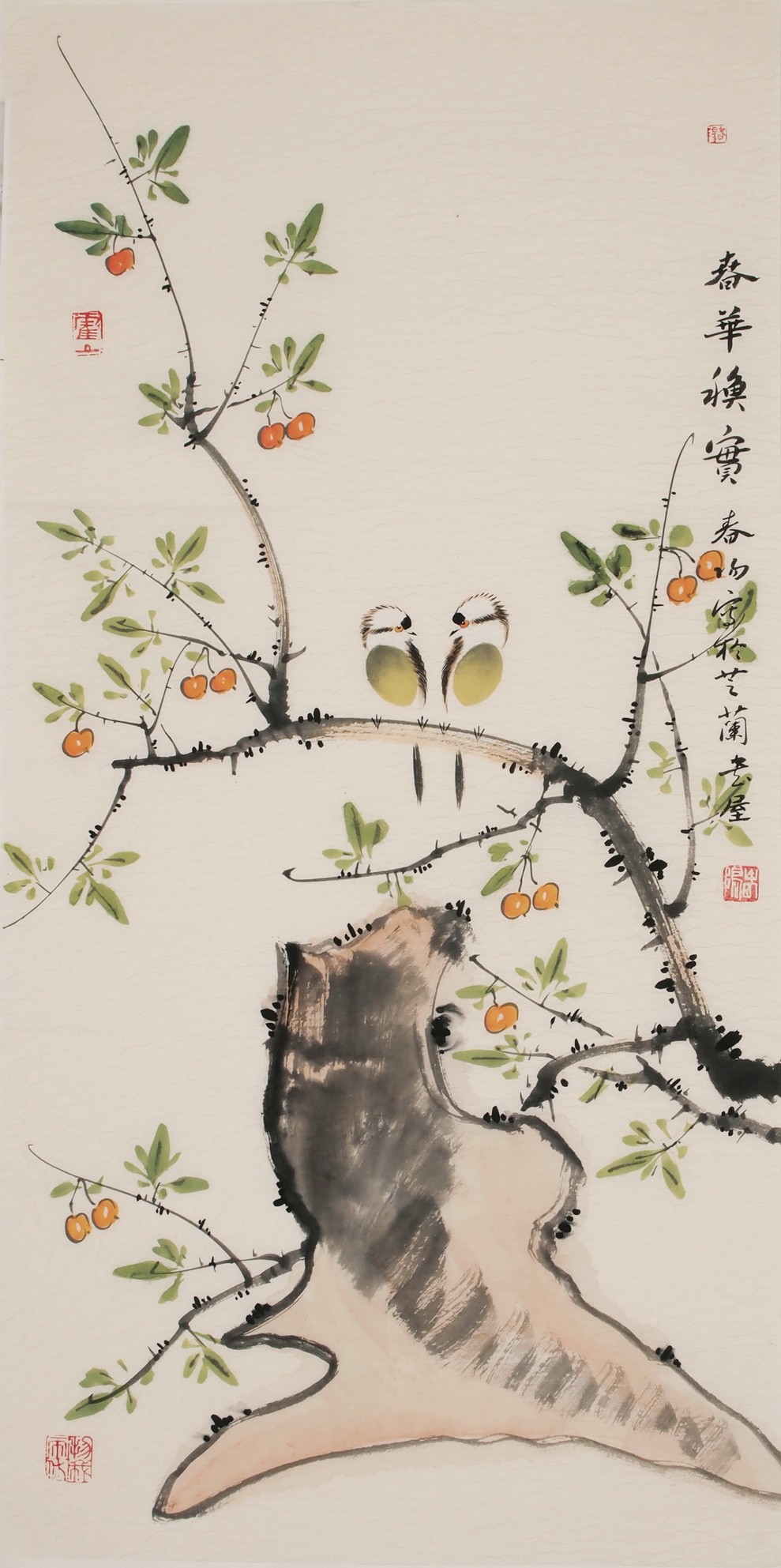 Other Birds - CNAG000678