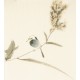 Other Birds - CNAG006776