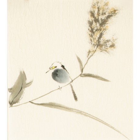 Other Birds - CNAG006776