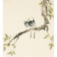 Other Birds - CNAG006777